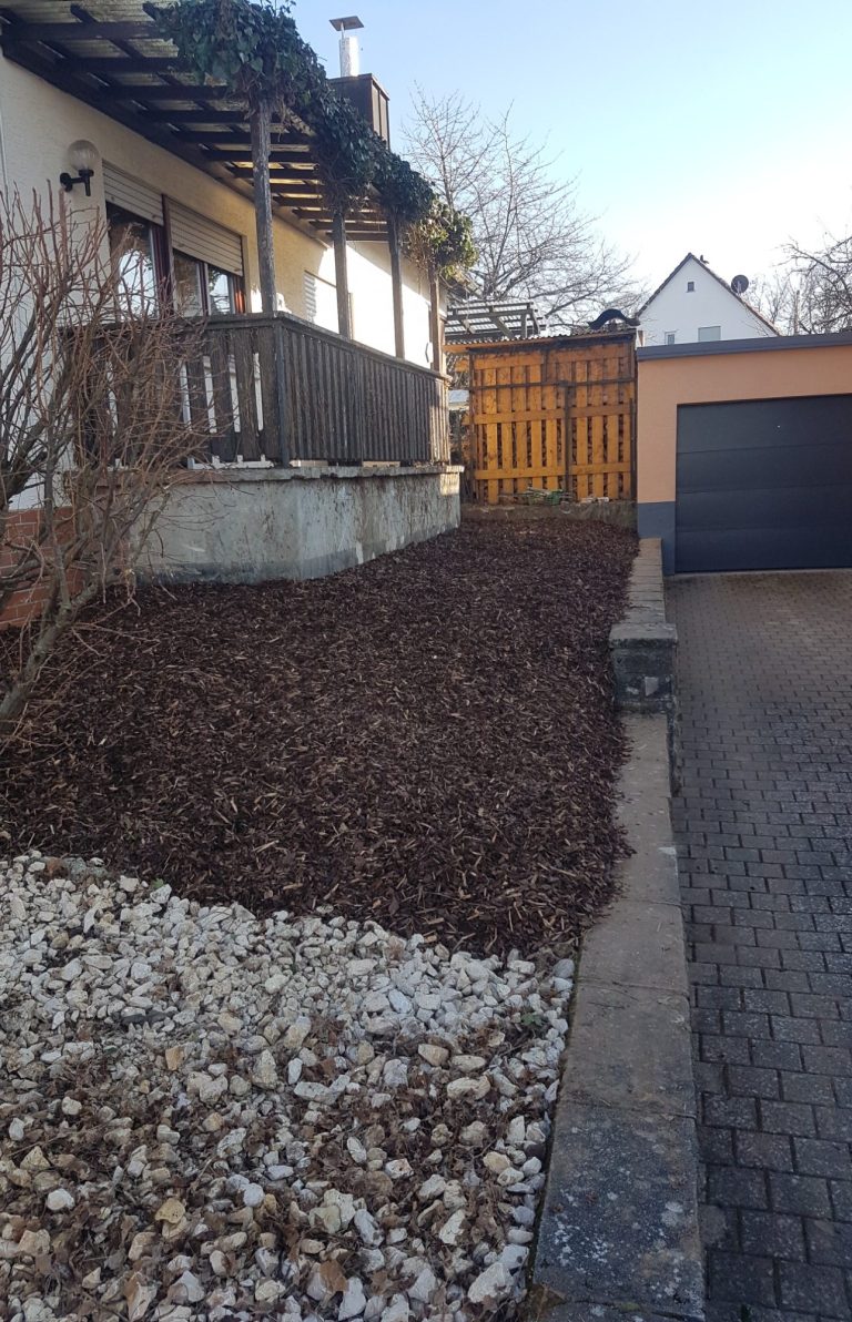 Nach Efeu entfernung